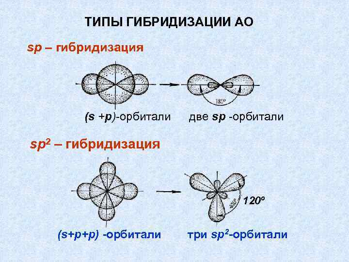 ТИПЫ ГИБРИДИЗАЦИИ АО sp – гибридизация (s +р)-орбитали две sр -орбитали sp 2 –