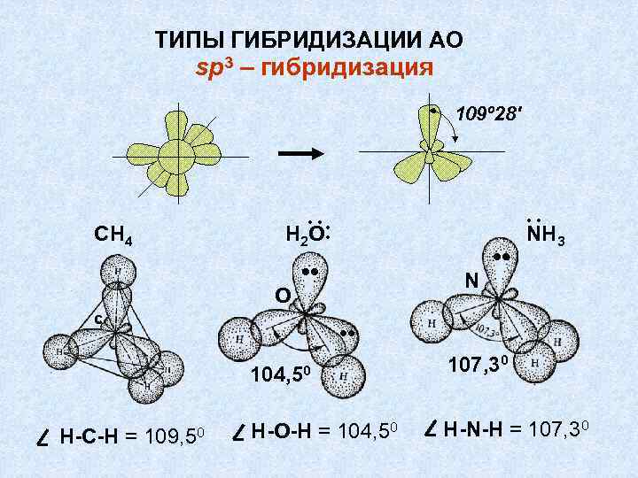 ТИПЫ ГИБРИДИЗАЦИИ АО sp 3 – гибридизация 109º 28' CН 4 2 О ··