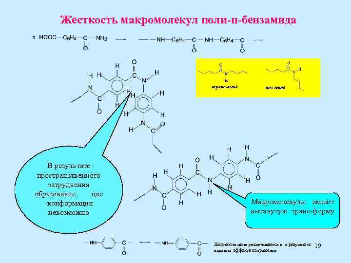 Жесткость макромолекул поли-п-бензамида В результате пространственного затруднения образование цис -конформации невозможно Макромолекулы имеют вытянутую