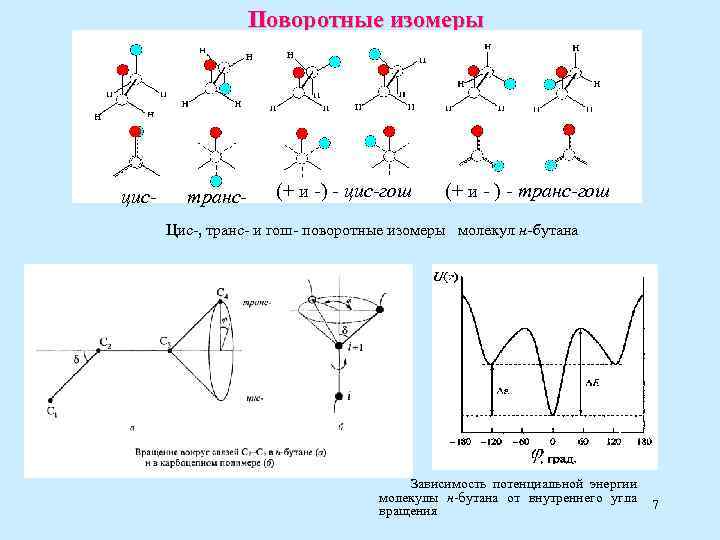 Поворотные изомеры цис- транс- (+ и -) - цис-гош (+ и - ) -