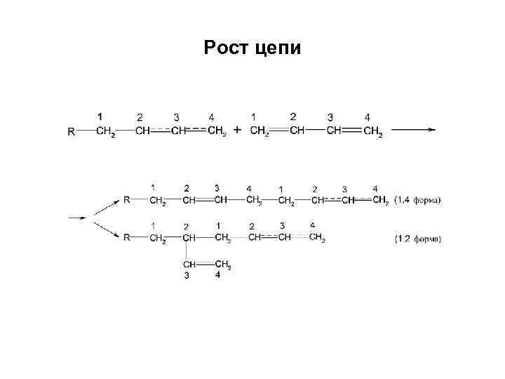 Рост цепи 