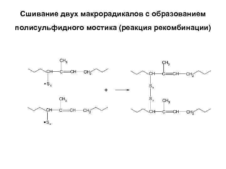  Сшивание двух макрорадикалов с образованием полисульфидного мостика (реакция рекомбинации) 