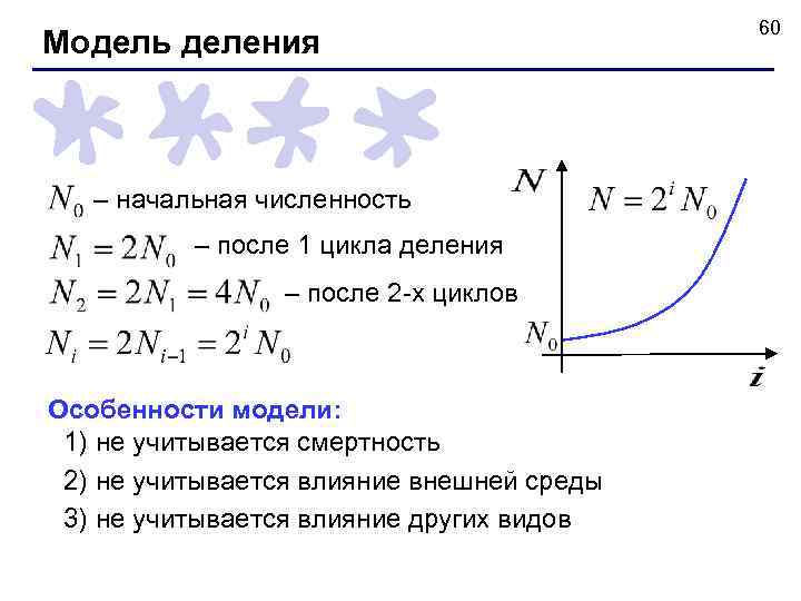 Модель деления – начальная численность – после 1 цикла деления – после 2 -х