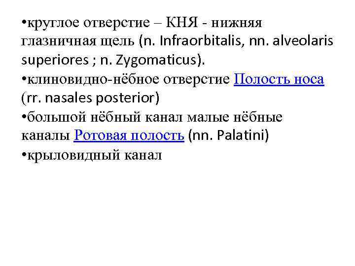  • круглое отверстие – КНЯ - нижняя глазничная щель (n. Infraorbitalis, nn. alveolaris