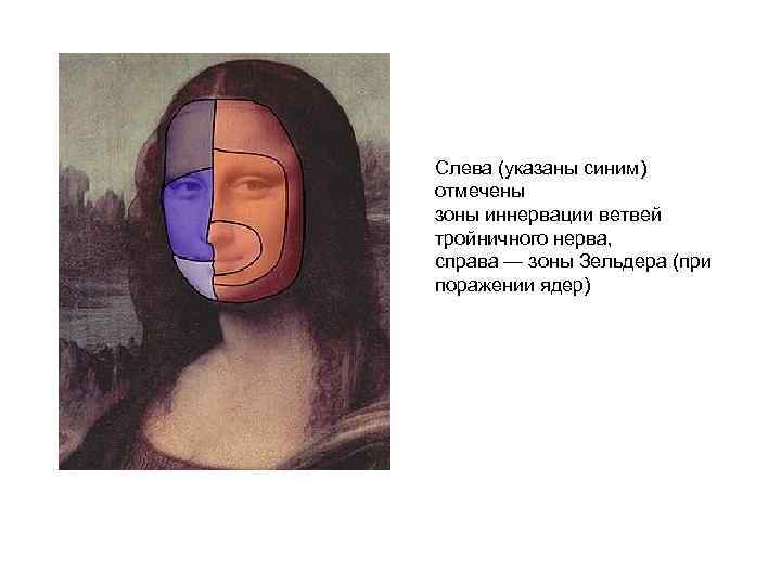 Слева (указаны синим) отмечены зоны иннервации ветвей тройничного нерва, справа — зоны Зельдера (при