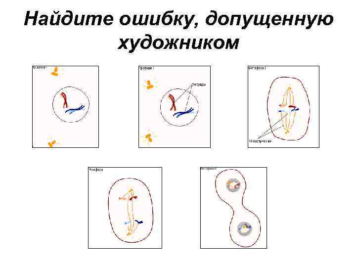 Найдите ошибку, допущенную художником 