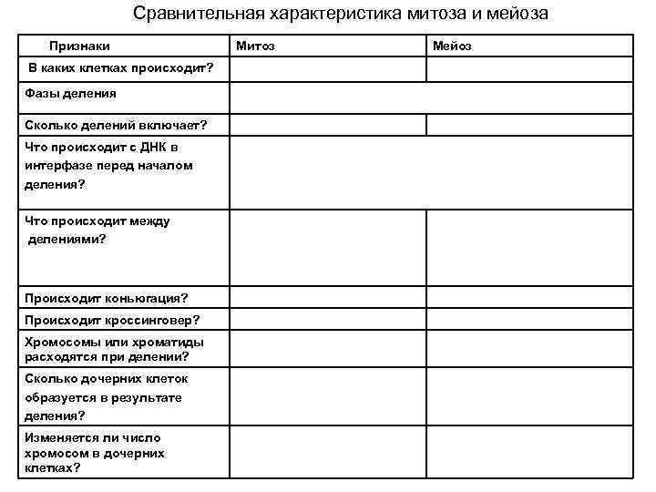 Сравнительная характеристика митоза и мейоза Признаки В каких клетках происходит? Фазы деления Сколько делений