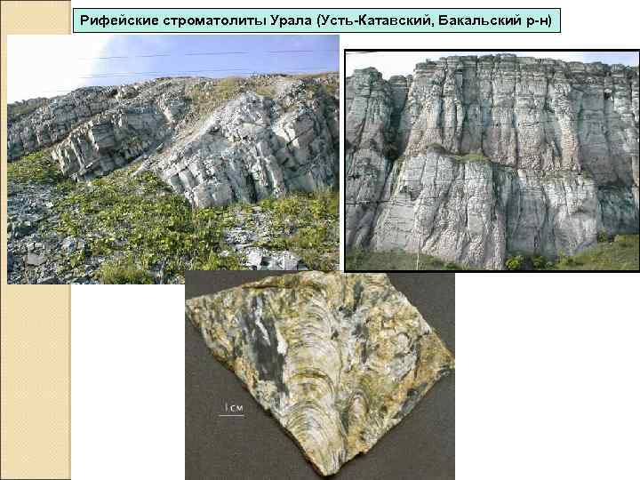Рифейские строматолиты Урала (Усть-Катавский, Бакальский р-н) 