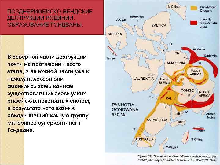 ПОЗДНЕРИФЕЙСКО-ВЕНДСКИЕ ДЕСТРУКЦИИ РОДИНИИ. ОБРАЗОВАНИЕ ГОНДВАНЫ. В северной части деструкции почти на протяжении всего этапа,