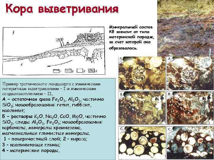 Кора выветривания Минеральный состав КВ зависит от типа материнской породы, за счет которой она