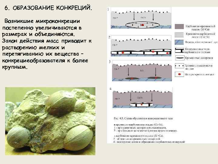 6. ОБРАЗОВАНИЕ КОНКРЕЦИЙ Возникшие микроконкреции постепенно увеличиваются в размерах и объединяются. Закон действия масс