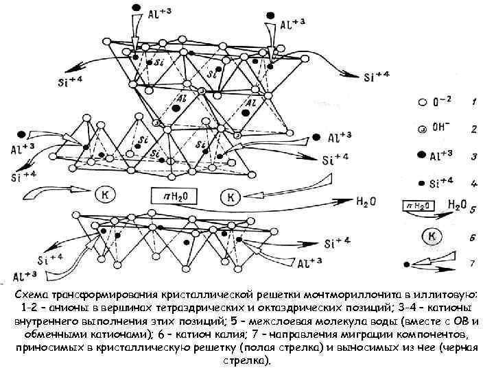 Схема трансформирования кристаллической решетки монтмориллонита в иллитовую: 1 -2 – анионы в вершинах тетраэдрических