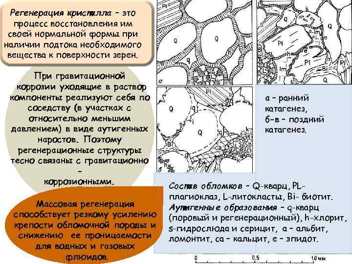 Регенерация кристалла – это процесс восстановления им своей нормальной формы при наличии подтока необходимого