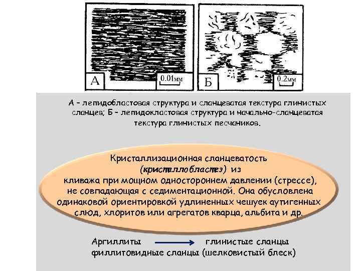 А – лепидобластовая структура и сланцеватая текстура глинистых сланцев; Б – лепидокластовая структура и