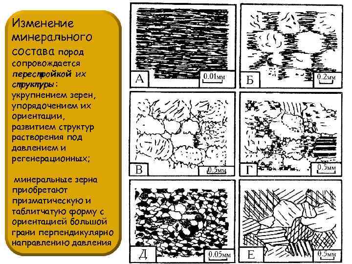 Изменение минерального состава пород сопровождается перестройкой их структуры: укрупнением зерен, упорядочением их ориентации, развитием