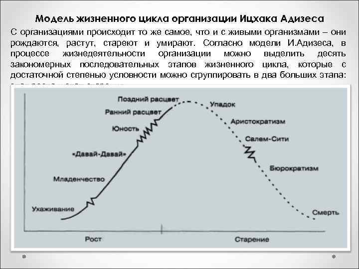 Жизненный цикл организации виды организаций