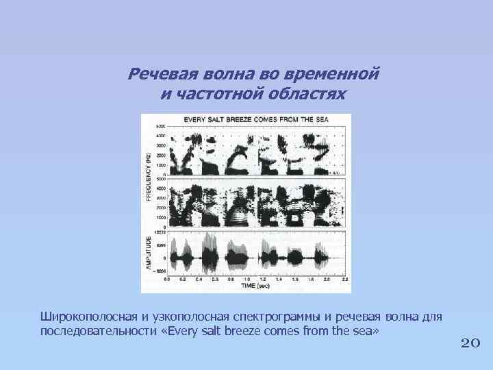 Речевая волна во временной и частотной областях Широкополосная и узкополосная спектрограммы и речевая волна