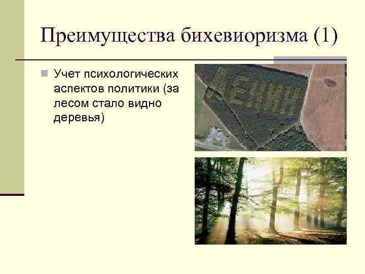 Преимущества бихевиоризма (1) n Учет психологических аспектов политики (за лесом стало видно деревья) 