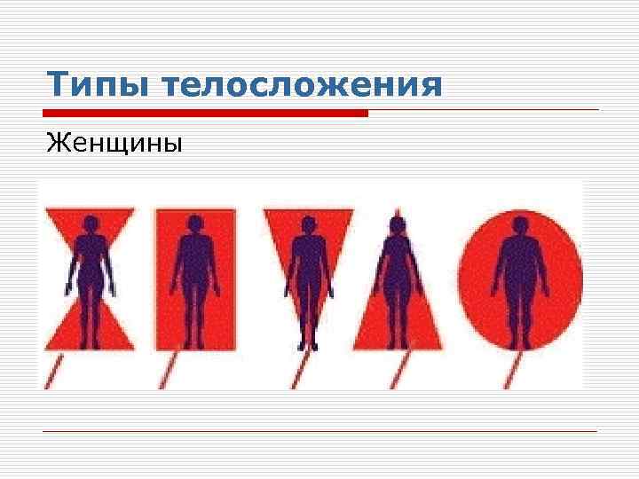 Типы телосложения Женщины 