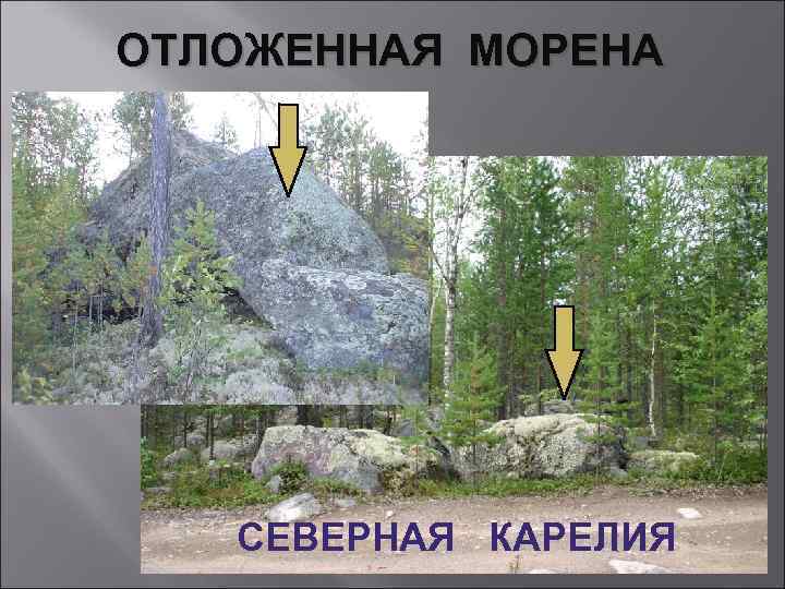 ОТЛОЖЕННАЯ МОРЕНА СЕВЕРНАЯ КАРЕЛИЯ 