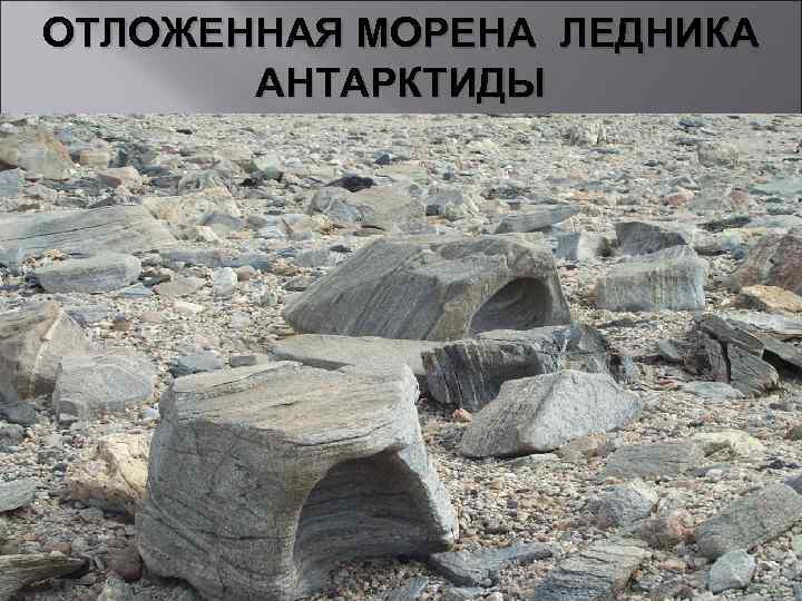 ОТЛОЖЕННАЯ МОРЕНА ЛЕДНИКА АНТАРКТИДЫ 