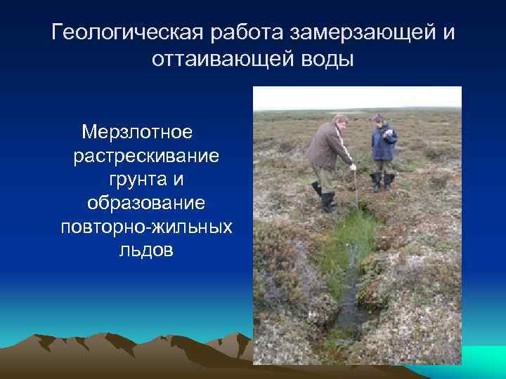 Геологическая работа замерзающей и оттаивающей воды Мерзлотное растрескивание грунта и образование повторно-жильных льдов 