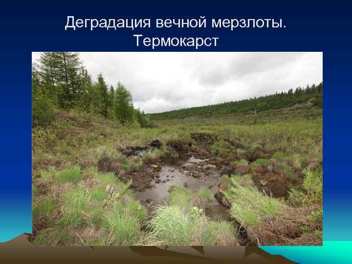 Деградация вечной мерзлоты. Термокарст 