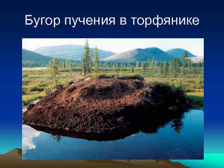 Бугор пучения в торфянике 
