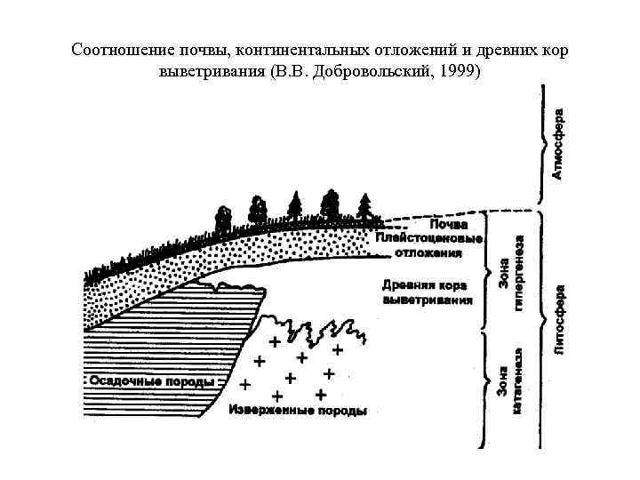 Соотношение почвы, континентальных отложений и древних кор выветривания (В. В. Добровольский, 1999) 