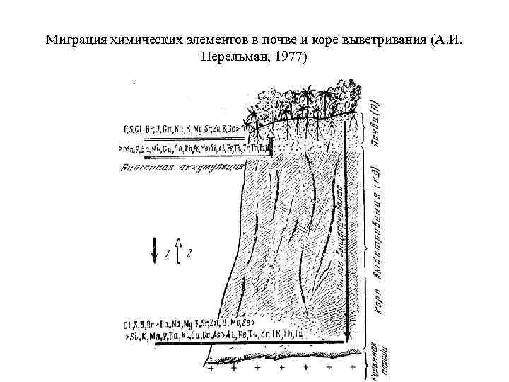 Миграция химических элементов в почве и коре выветривания (А. И. Перельман, 1977) 