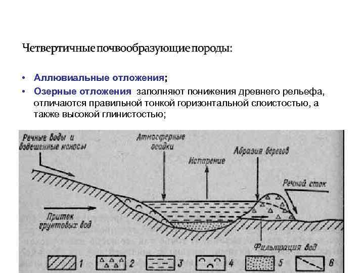  • Аллювиальные отложения; • Озерные отложения заполняют понижения древнего рельефа, отличаются правильной тонкой