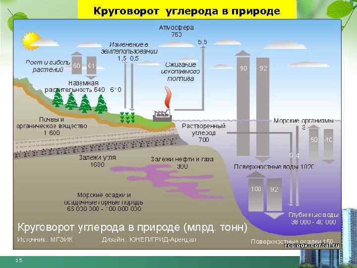 Круговорот углерода в природе 15 