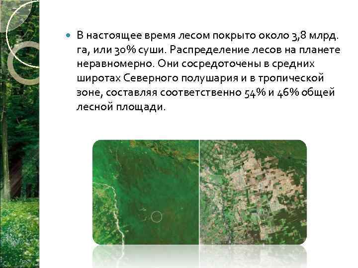  В настоящее время лесом покрыто около 3, 8 млрд. га, или 30% суши.