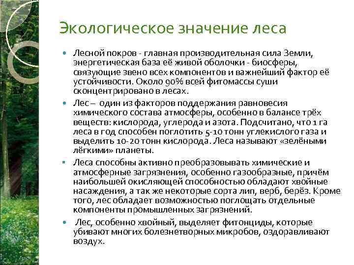 Функции леса. Экологическая роль лесов. Экологическое значение леса. Экологическое значение лесов. Роль лесов в окружающей среде.