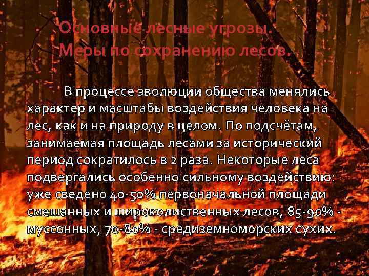 Основные лесные угрозы. Меры по сохранению лесов. В процессе эволюции общества менялись характер и