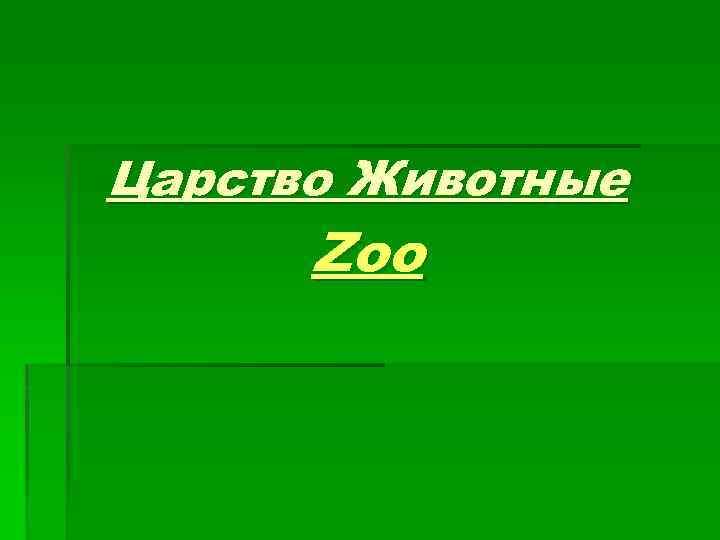 Царство Животные Zoo 