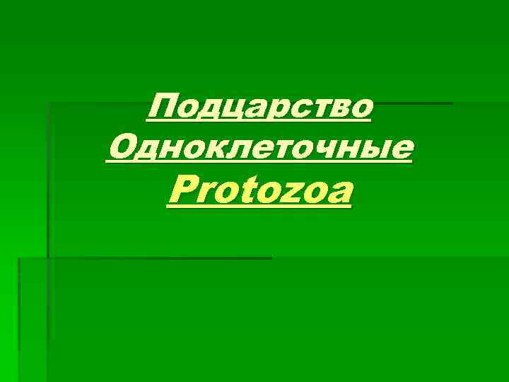 Подцарство Одноклеточные Protozoa 