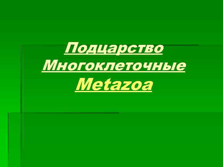 Подцарство Многоклеточные Metazoa 