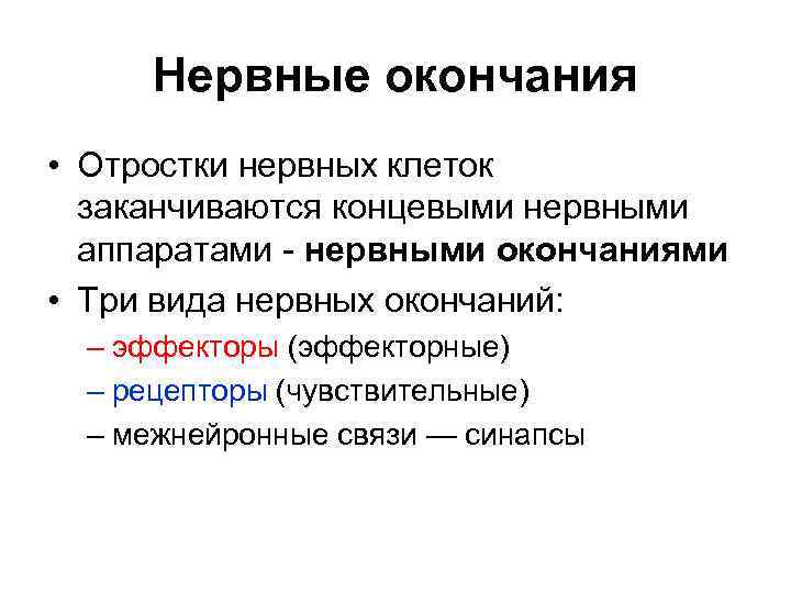 Нервные окончания • Отростки нервных клеток заканчиваются концевыми нервными аппаратами - нервными окончаниями •