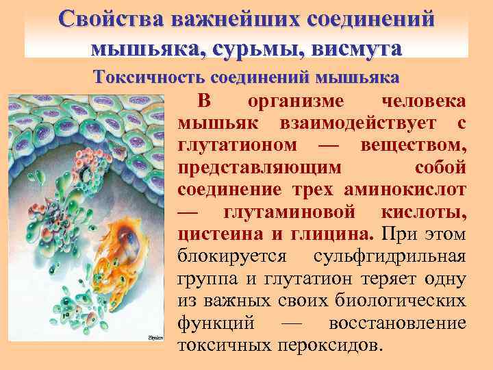 Свойства важнейших соединений мышьяка, сурьмы, висмута Токсичность соединений мышьяка В организме человека мышьяк взаимодействует