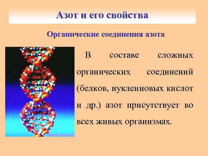 Азот белки. Азот в белке. Азота образуют сложные органические вещества белки. Сложное соединение белков. Органические соединения с азотом.