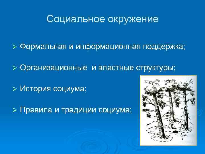 Социальное окружение Ø Формальная и информационная поддержка; Ø Организационные и властные структуры; Ø История