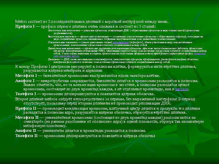 Мейоз состоит из 2 последовательных делений с короткой интерфазой между ними. Профаза I —
