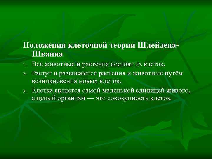 Положения клеточной теории Шлейдена. Шванна 1. 2. 3. Все животные и растения состоят из