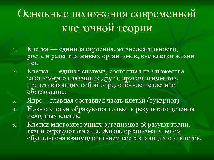 Охарактеризуйте роль современной клеточной теории в становлении современной естественнонаучной картины мира