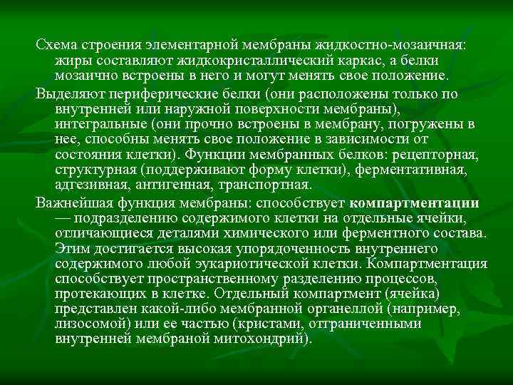 Схема строения элементарной мембраны жидкостно-мозаичная: жиры составляют жидкокристаллический каркас, а белки мозаично встроены в