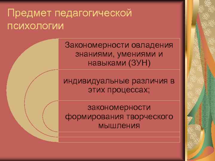 Предмет педагогической психологии Закономерности овладения знаниями, умениями и навыками (ЗУН) индивидуальные различия в этих