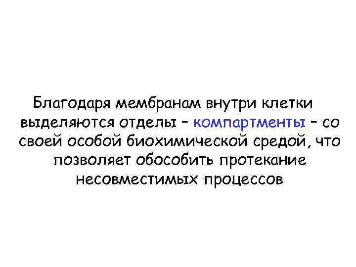 Благодаря мембранам внутри клетки выделяются отделы – компартменты – со своей особой биохимической средой,