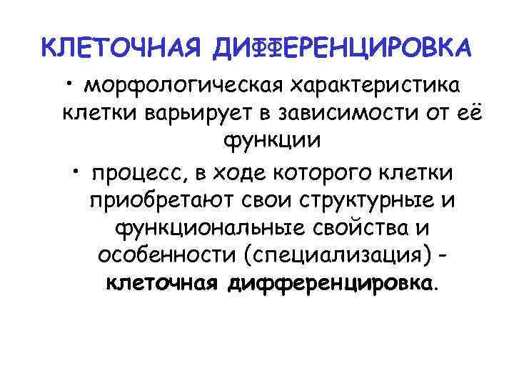 КЛЕТОЧНАЯ ДИФФЕРЕНЦИРОВКА • морфологическая характеристика клетки варьирует в зависимости от её функции • процесс,