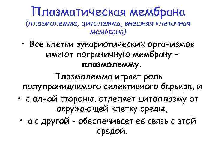 Плазматическая мембрана (плазмолемма, цитолемма, внешняя клеточная мембрана) • Все клетки эукариотических организмов имеют пограничную
